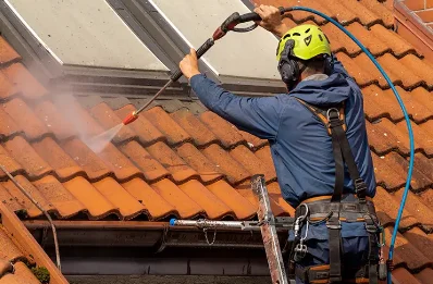 Démoussage et hydrofuge de toiture à Craponne